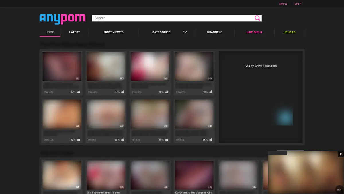 Anyporn Video Downloader screenshot 2