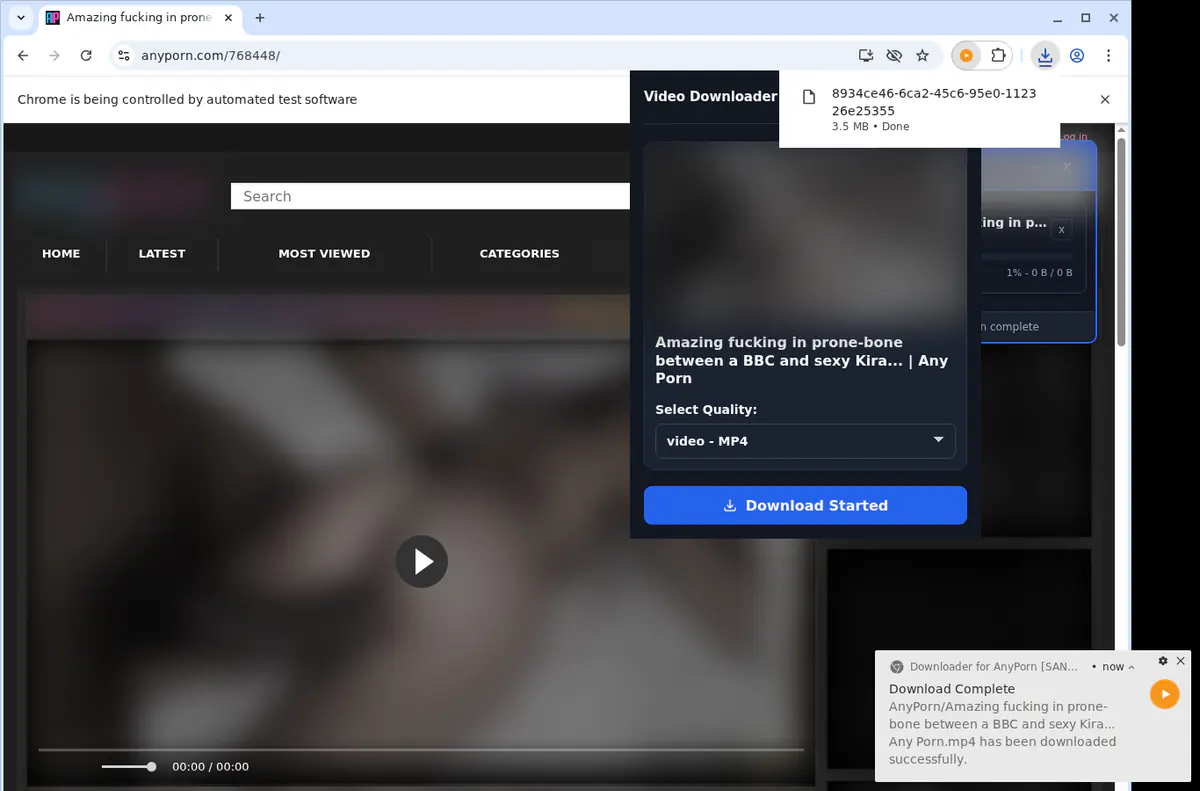 Anyporn Video Downloader screenshot 3