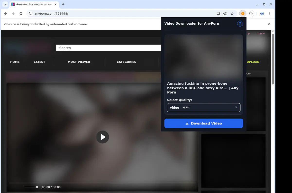 Anyporn Video Downloader screenshot 4